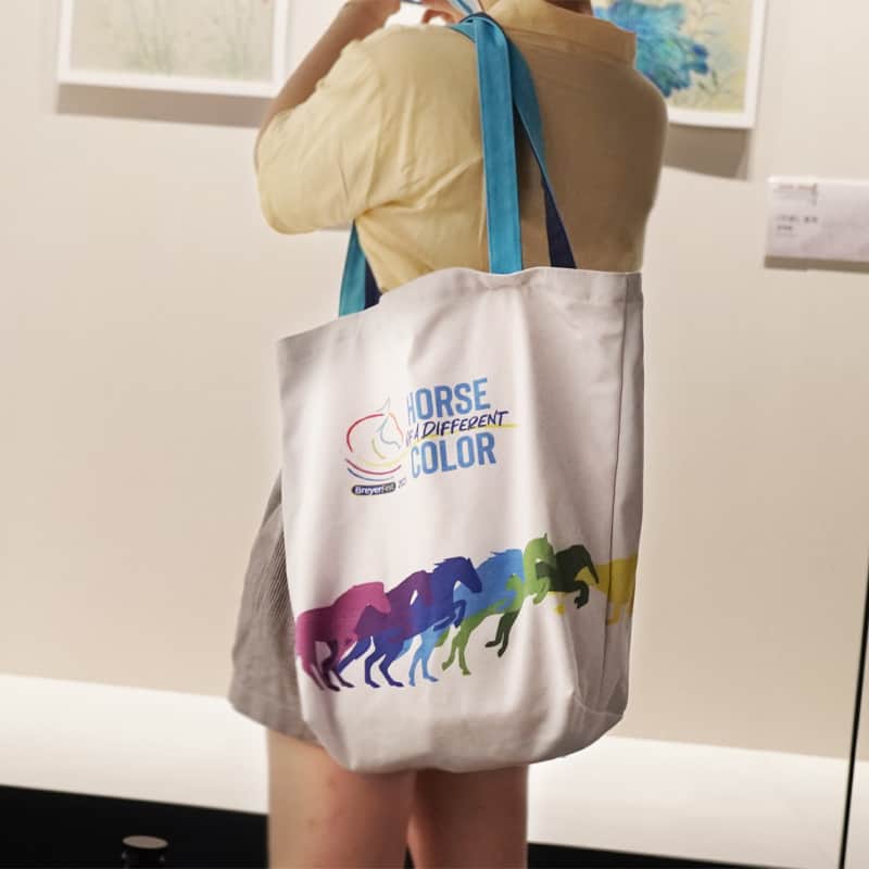 canvas shopping bag (1)