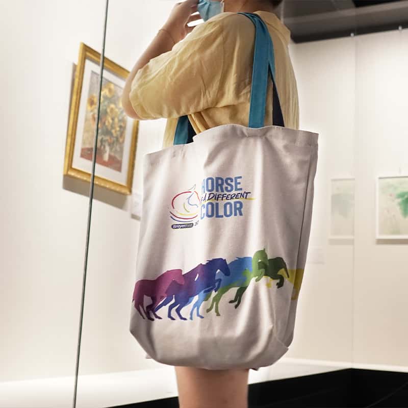 canvas shopping bag (3)