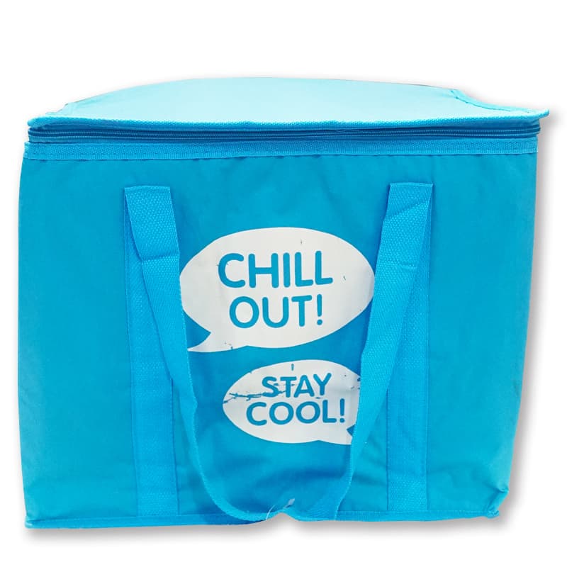 lunch cooler bag (6)