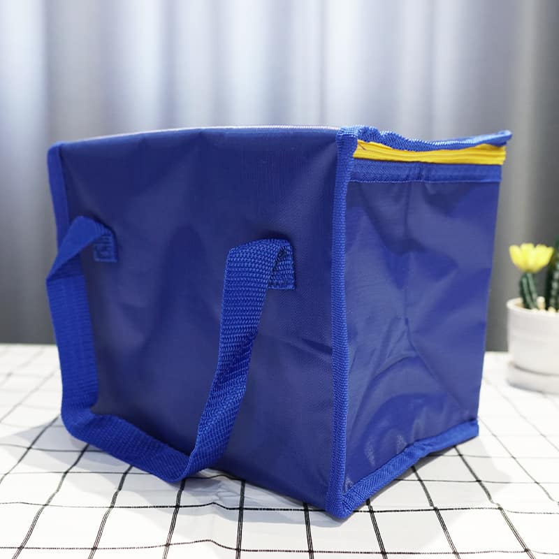 picnic cooler bag (11)