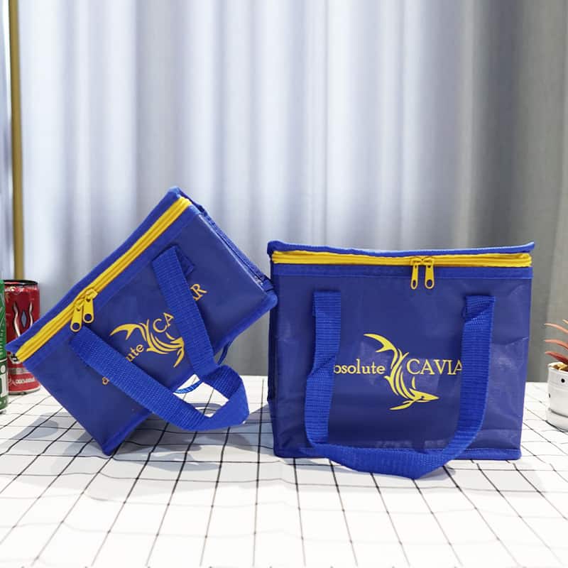 picnic cooler bag (4)