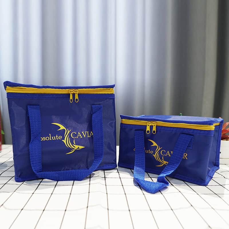 picnic cooler bag (5)