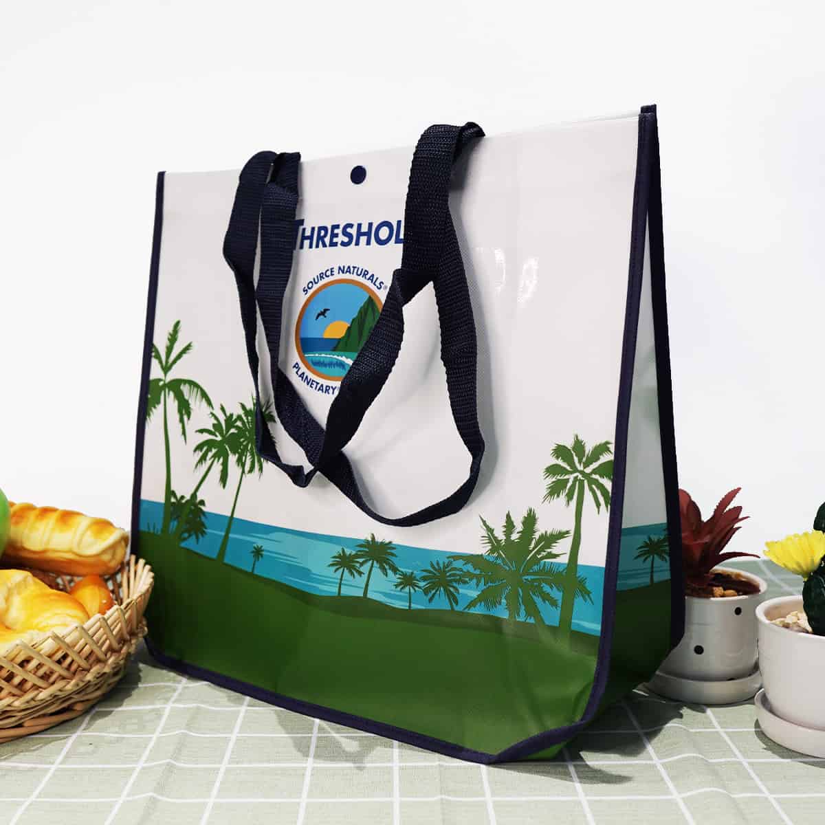 reusable shopping bags (6)