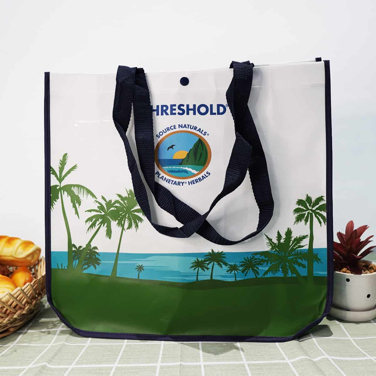 reusable shopping bags (7)